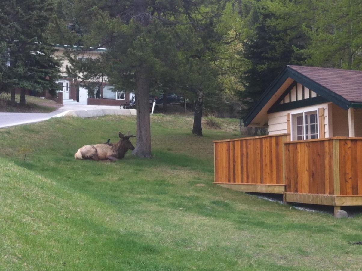 Hillside Bungalows Banff Exteriér fotografie