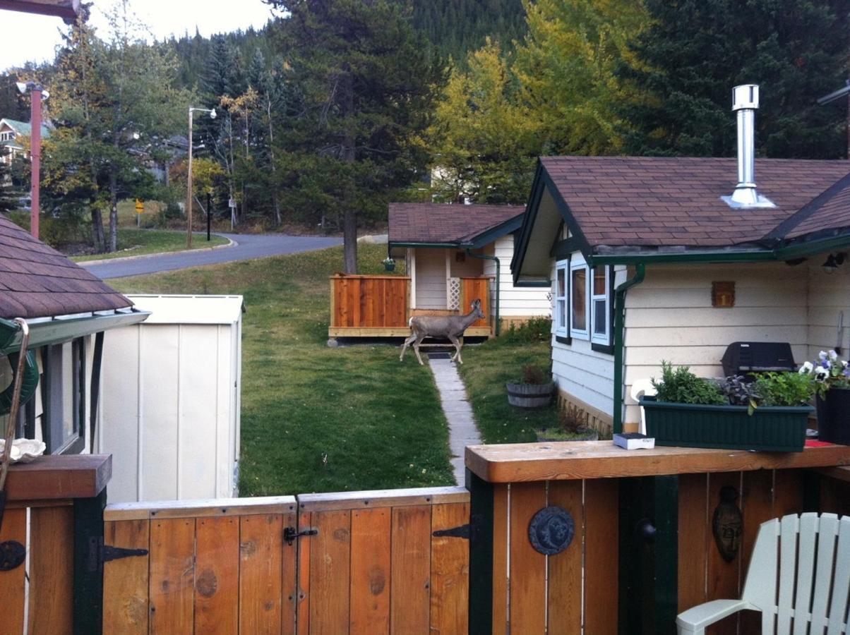 Hillside Bungalows Banff Exteriér fotografie